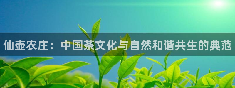 fh至尊平台坑人的原因