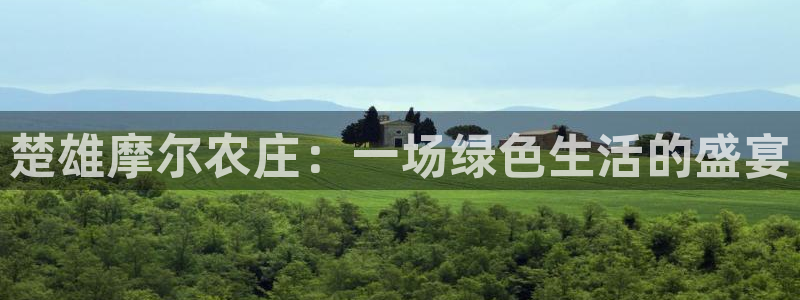 fh至尊凤凰代理