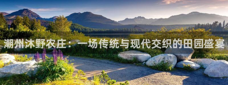 FH至尊平台登录