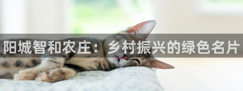 至尊FH下载