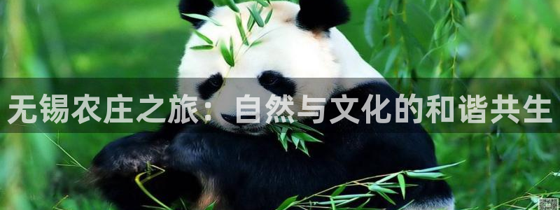 fh至尊注册登陆