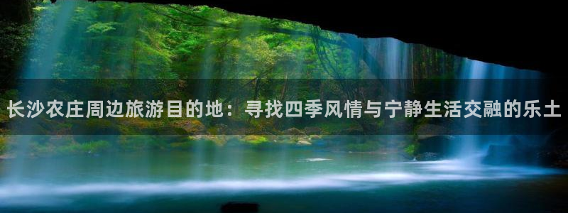 fh至尊凤凰消息的范本