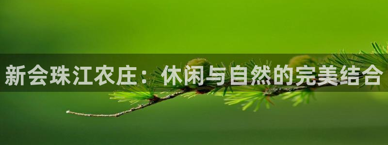 fh至尊是老凤凰平台么