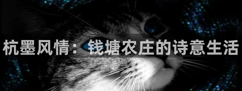 fh至尊平台怎么打不开了呢