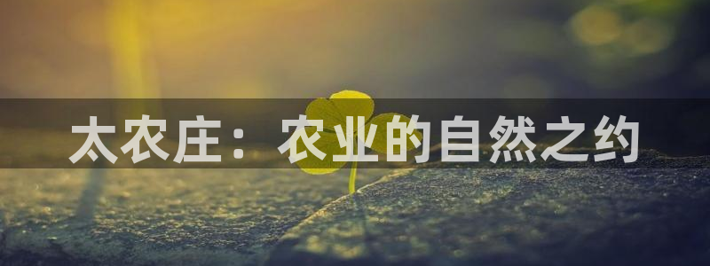 FH至尊平台是什么平台