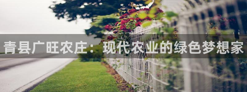 凤凰娱乐FH至尊地址