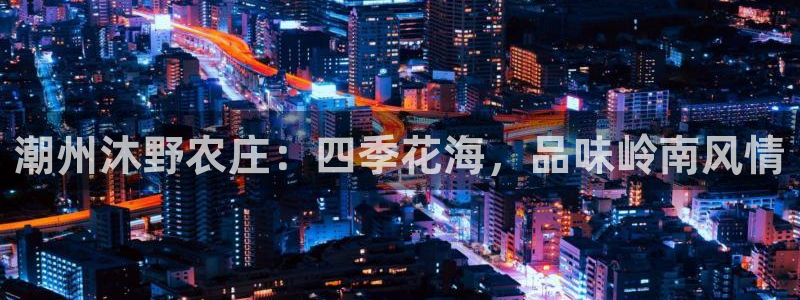 fh至尊闪退