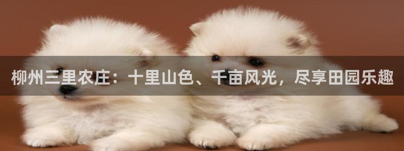 fh至尊香港办事处