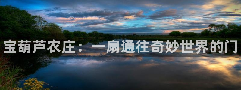 fh 至尊