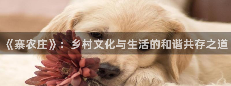 fh至尊是什么牌子
