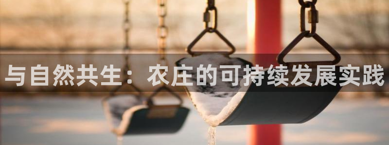 至尊FH平台