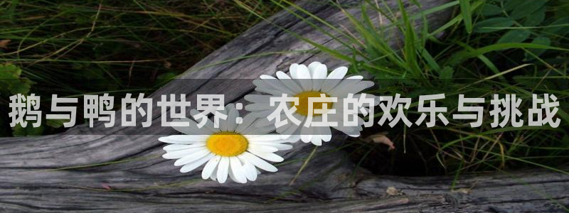 fh至尊是老凤凰平台么