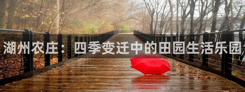 FH至尊下载