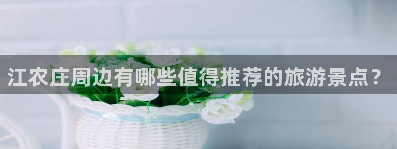 fh至尊诚信19年