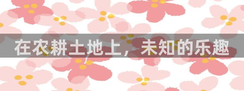 FH至尊apk