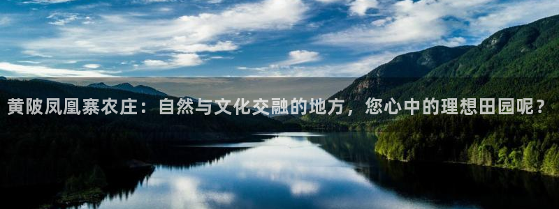 FH至尊隶属哪家公司