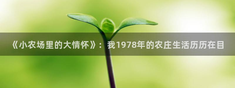 fh至尊游戏客服