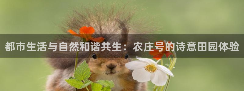 FH至尊平台怎么样