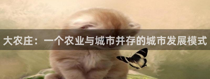 fh至尊游戏代理