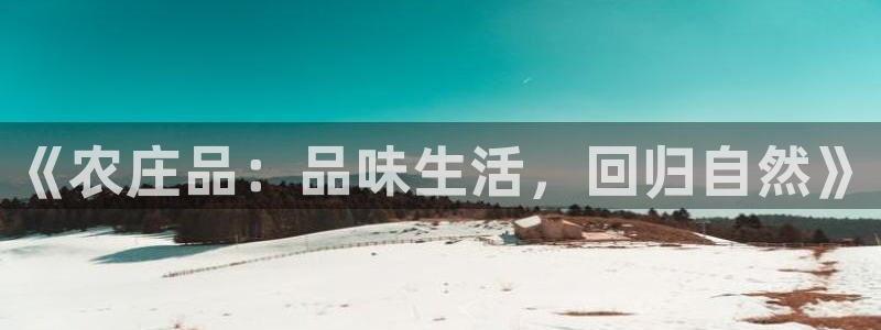 fh至尊是什么平台