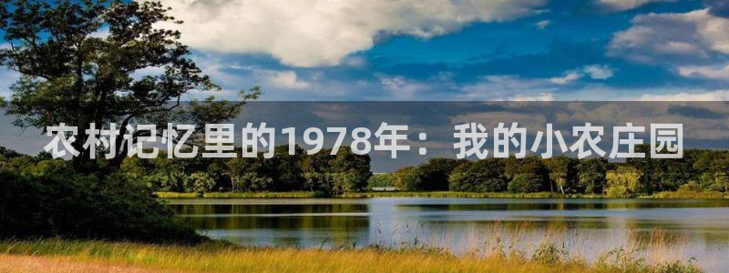 FH至尊平台老板是谁
