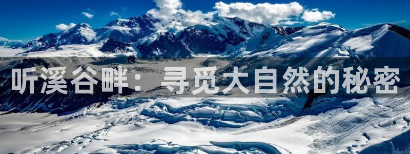 fh至尊提现不了