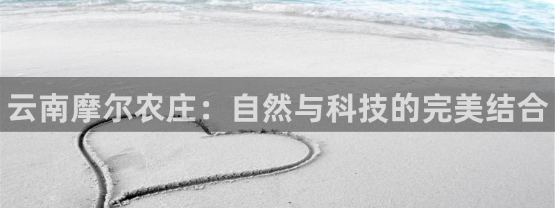 FH至尊黑