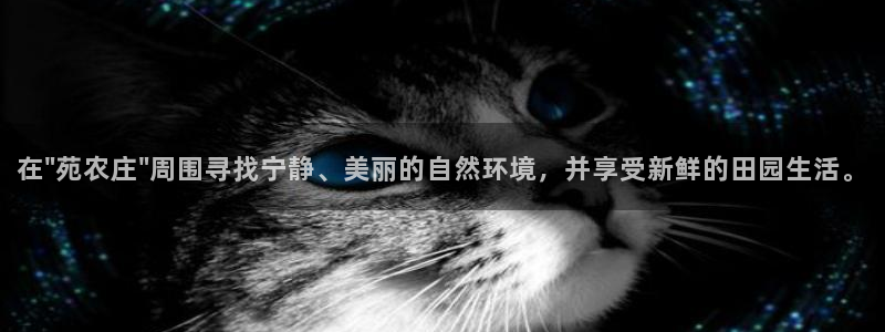 fh至尊app下载安装