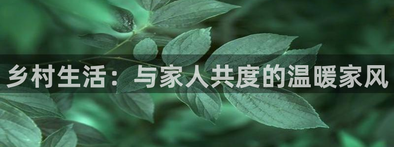 fh至尊平台安全密码忘记了