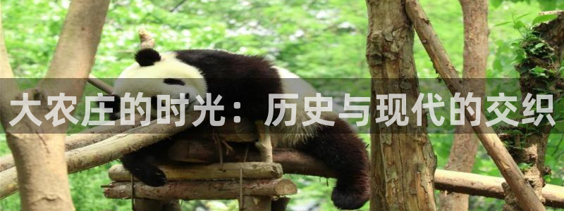 fh至尊怎么没有了