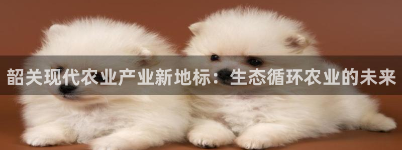 fh至尊多少年了