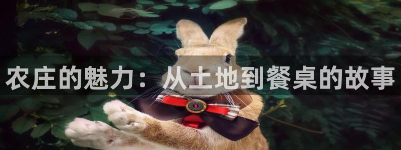 fh至尊凤凰代理