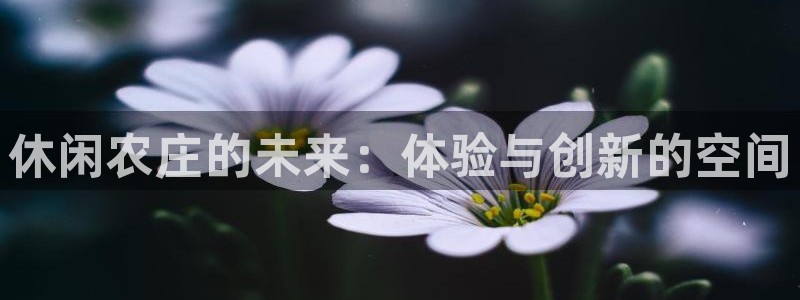 FH至尊平台老板是谁