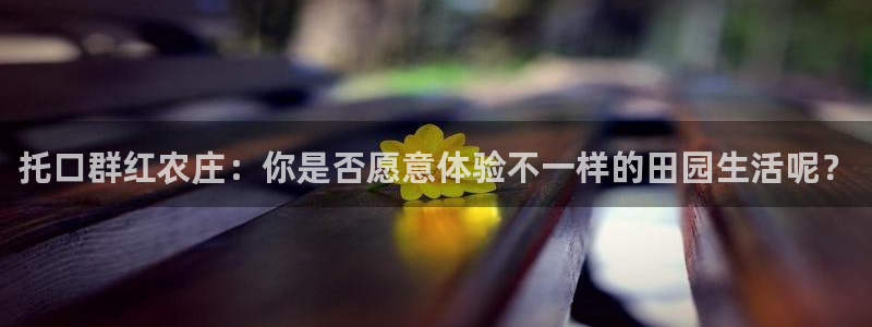 fh至尊是老凤凰吗