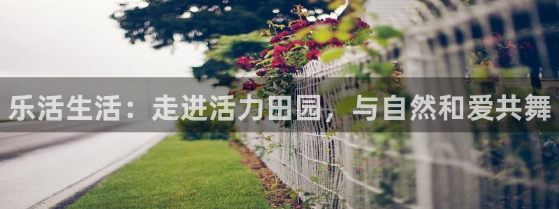 fh至尊凤凰平台下载