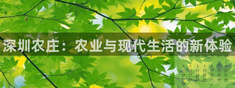 fh凤凰至尊版