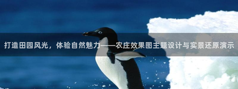 fh至尊基础奖金多少