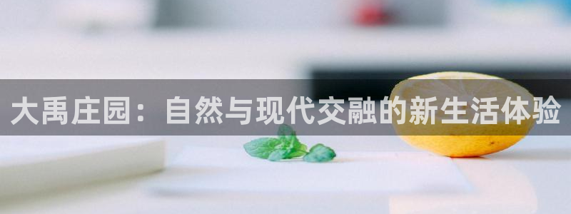 FH至尊开户链接