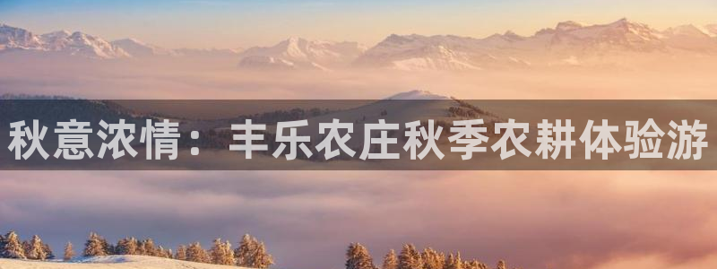 fh 至尊