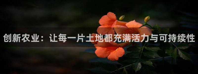 FH至尊是什么