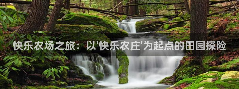 fh至尊是什么牌子