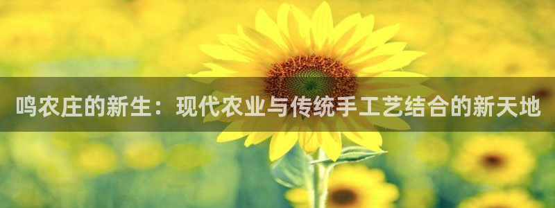 fh至尊平台怎么打不开了呢