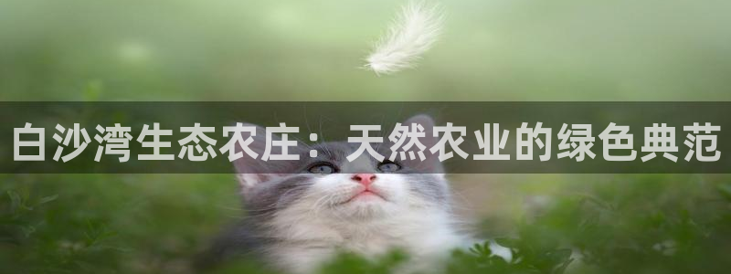 FH至尊不给提现