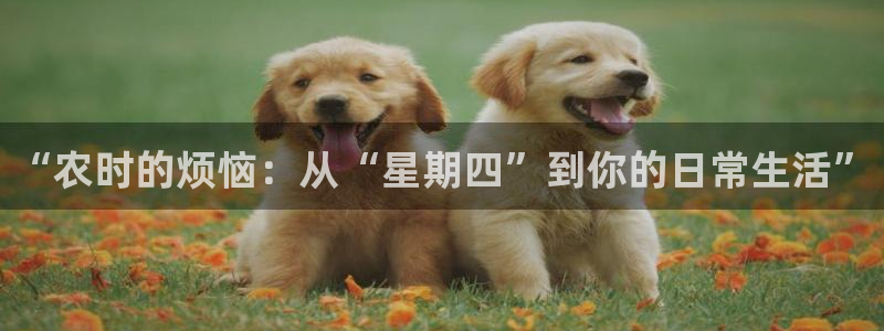 fh凤凰至尊app