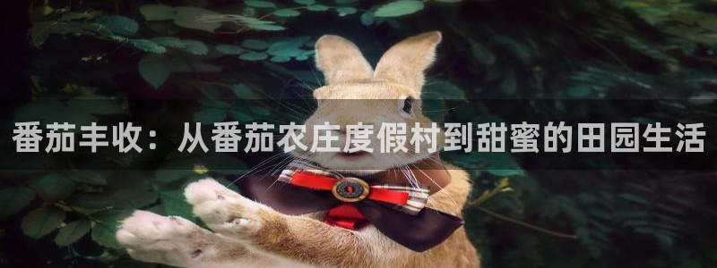 FH至尊怎么样