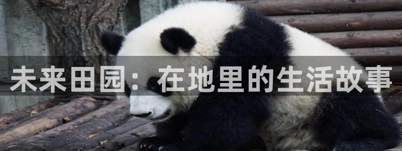 fh至尊是凤凰平台吗