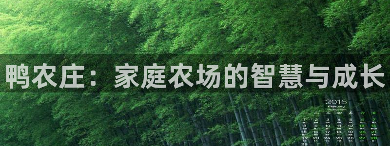 fh至尊平台坑人的原因