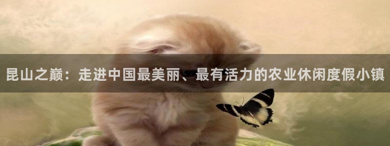 凤凰娱乐FH至尊App