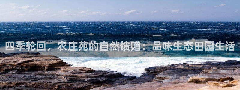 至尊FH平台