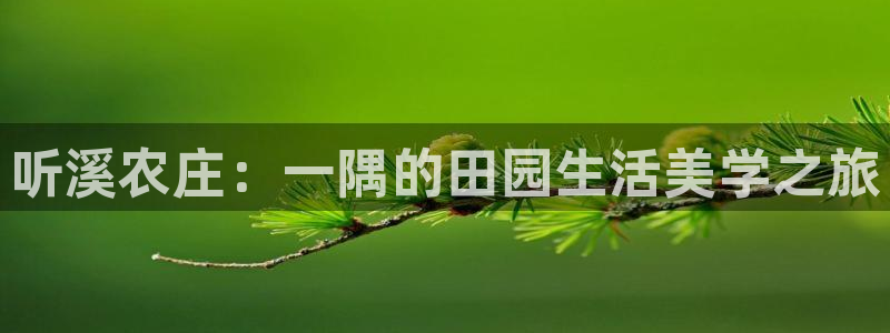 FH至尊下载